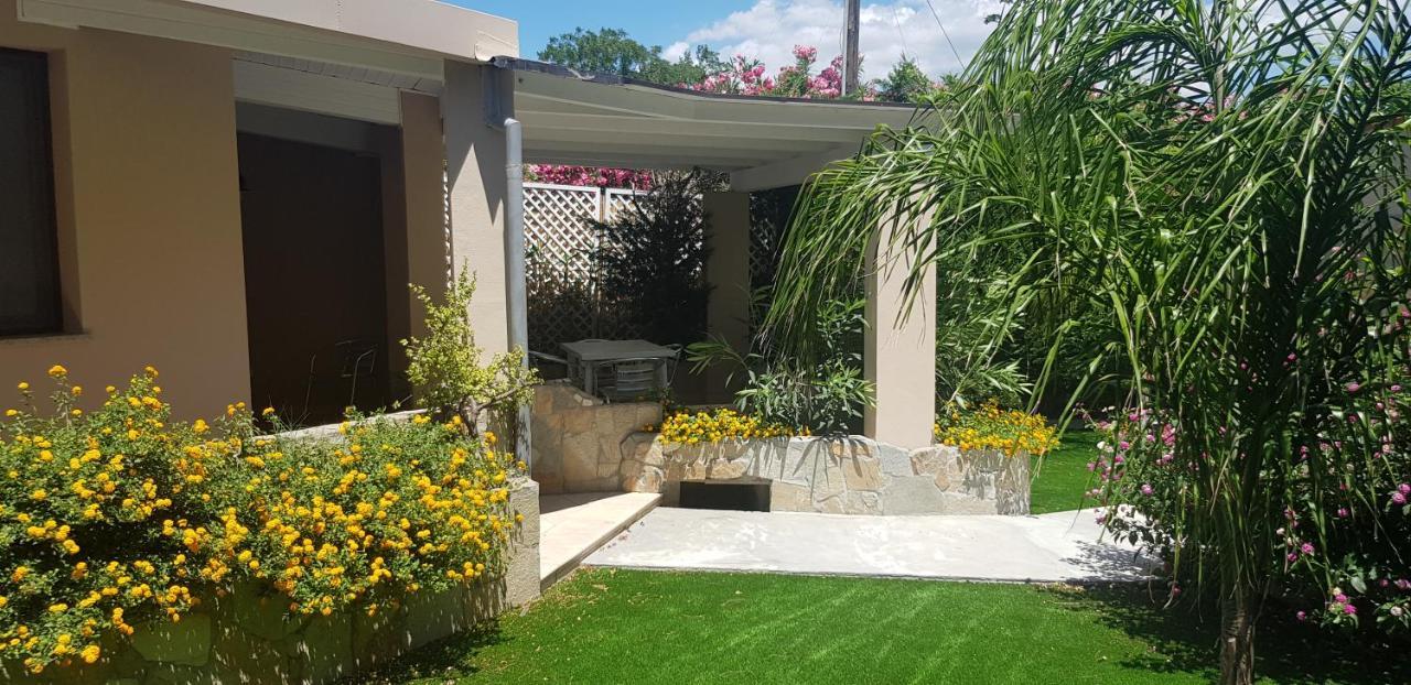 Aparthotel Palm Village 3*