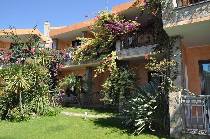 Palm Village