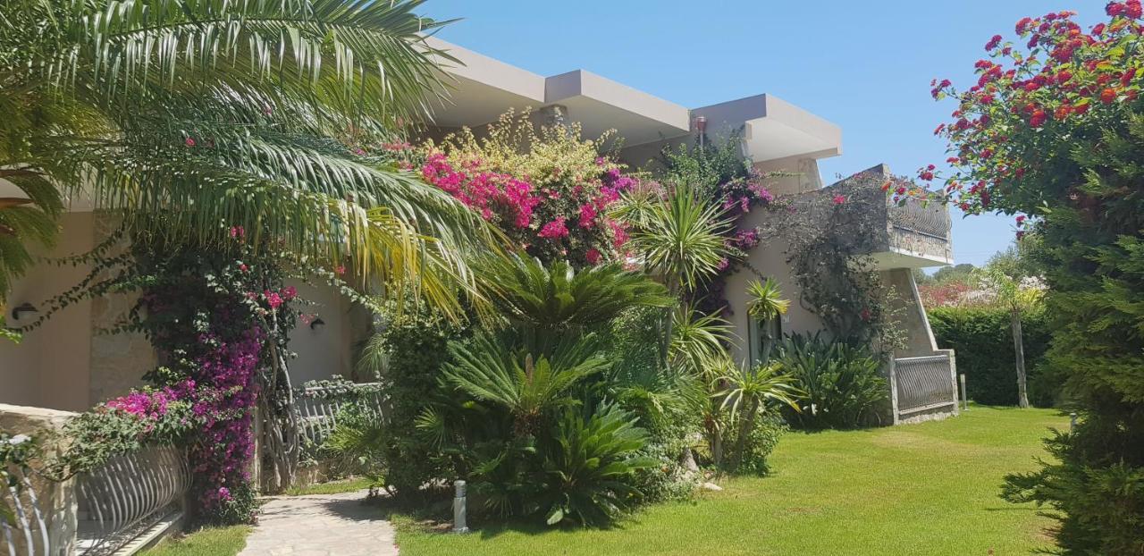 Palm Village Aparthotel
