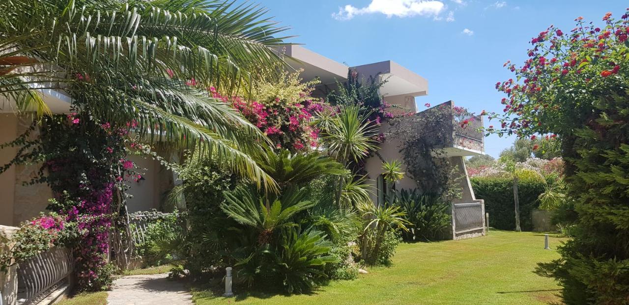 Aparthotel Palm Village