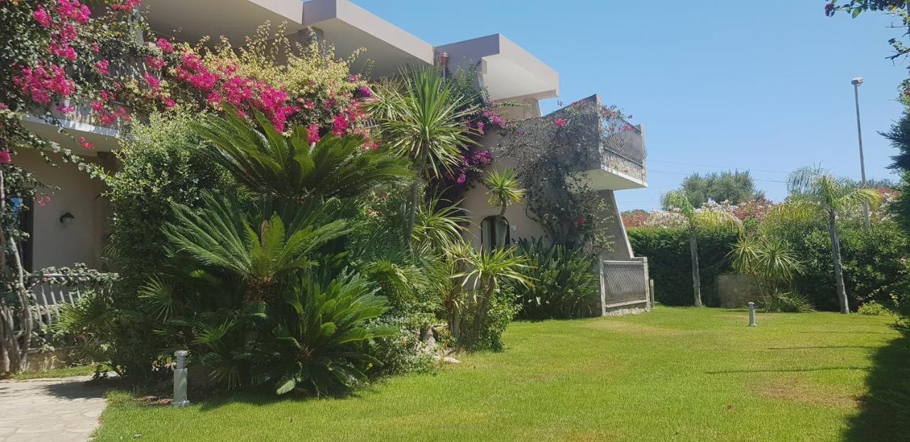 Palm Village Aparthotel