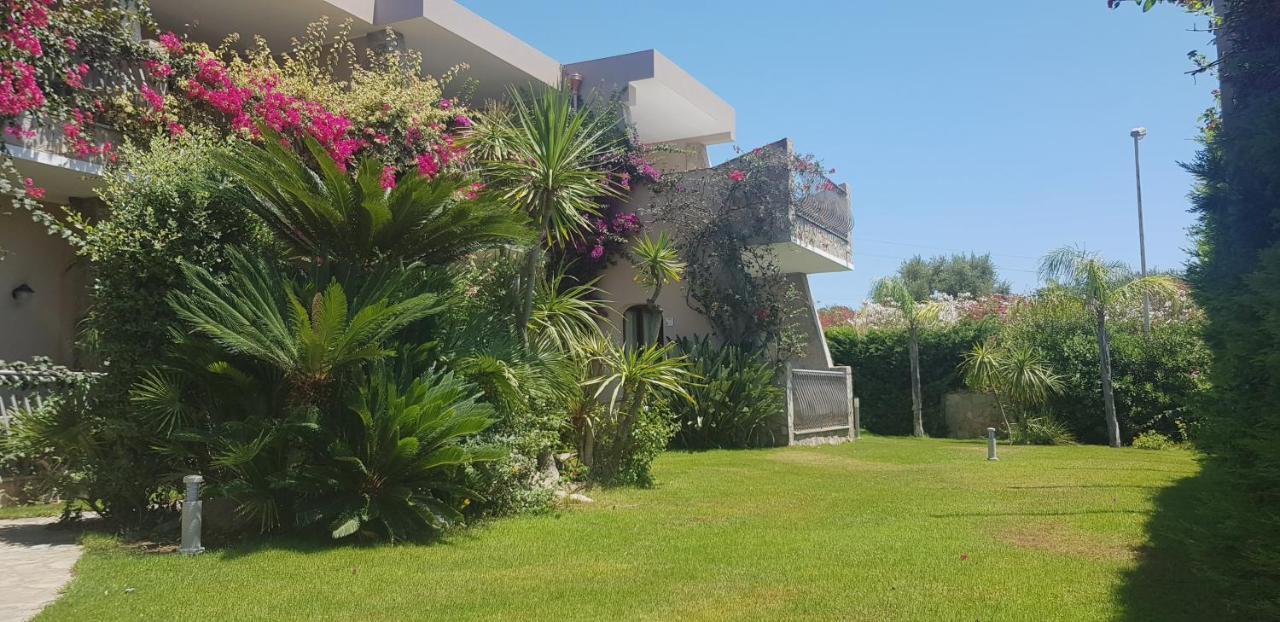 Palm Village 3*