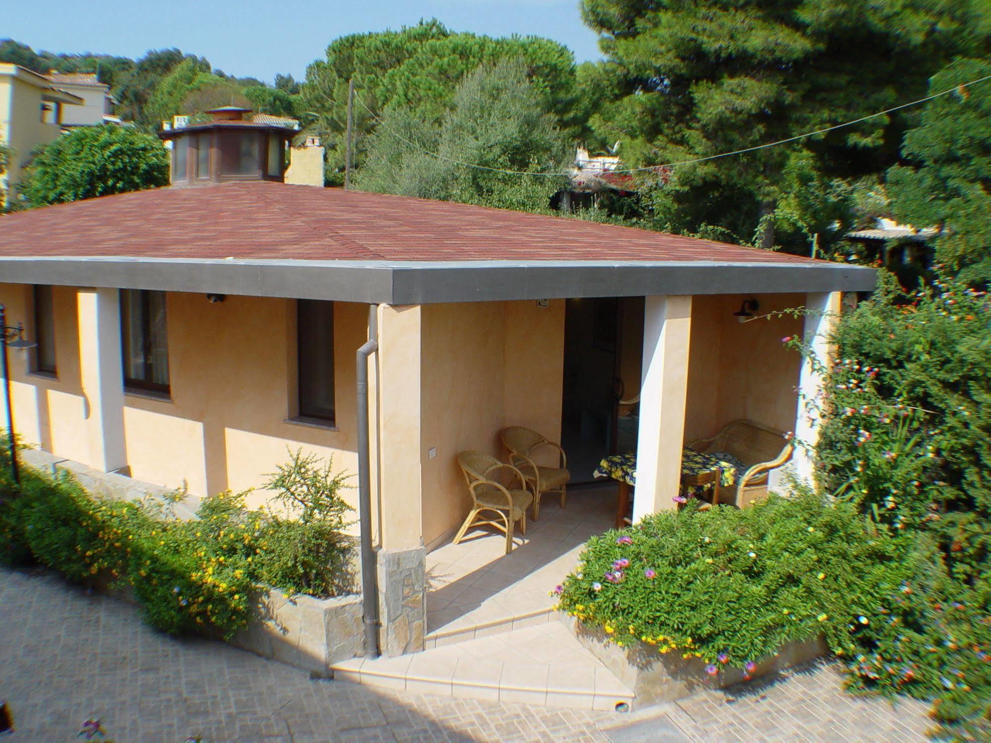 Palm Village