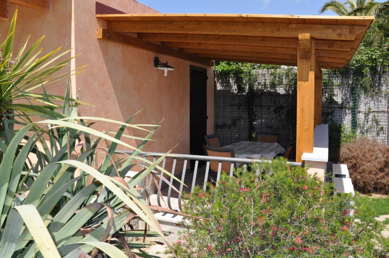 Palm Village 3*